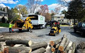 Best Sod Installation  in Dassel, MN